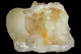 Botryoidal Yellow Fluorite on Quartz - India #102372-1